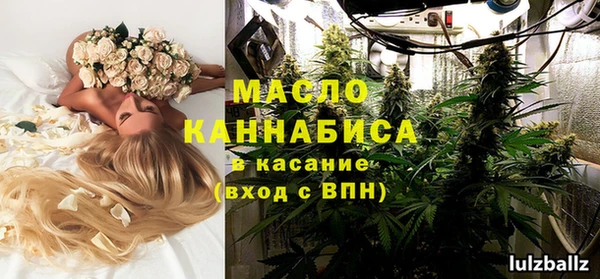 прущие грибы Михайловск
