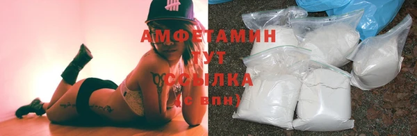 ГАЛЛЮЦИНОГЕННЫЕ ГРИБЫ Горно-Алтайск