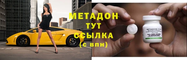 прущие грибы Михайловск