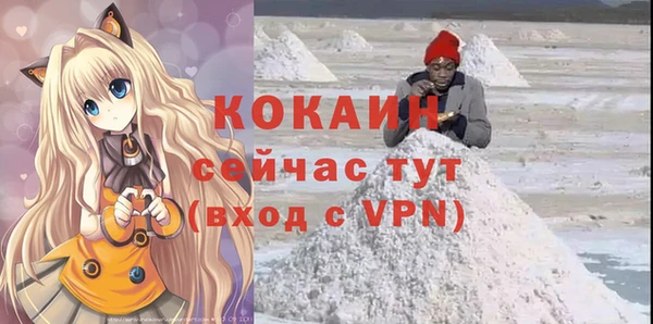 молекула духа Сясьстрой