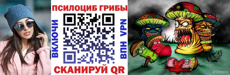 закладка Никольск Галлюциногенные грибы мицелий